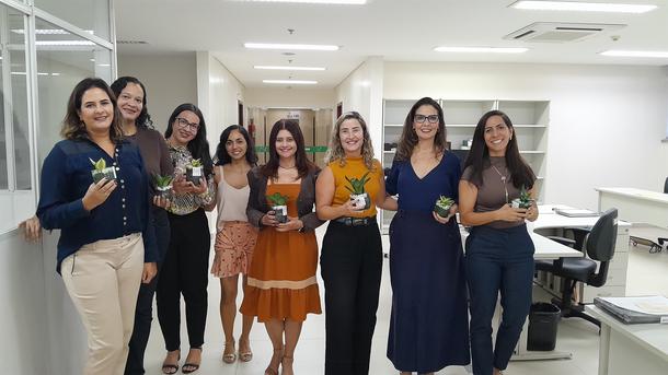 Imagem: As plantas são do tipo mini espada de São Jorge e foram colhidas no jardim da JFAL